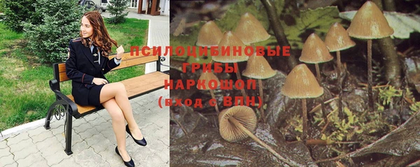 мяу мяу кристалл Алексин