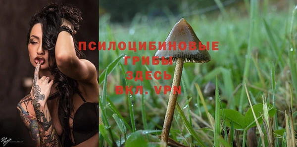 дживик Саяногорск