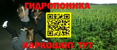 Альфа ПВП Волжск