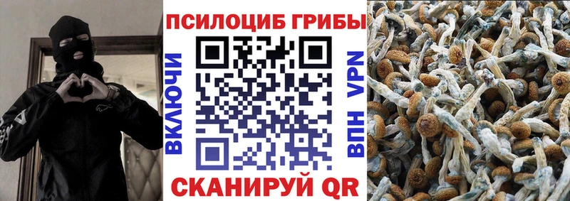 Галлюциногенные грибы Psilocybine cubensis  MEGA ТОР  Гуково 